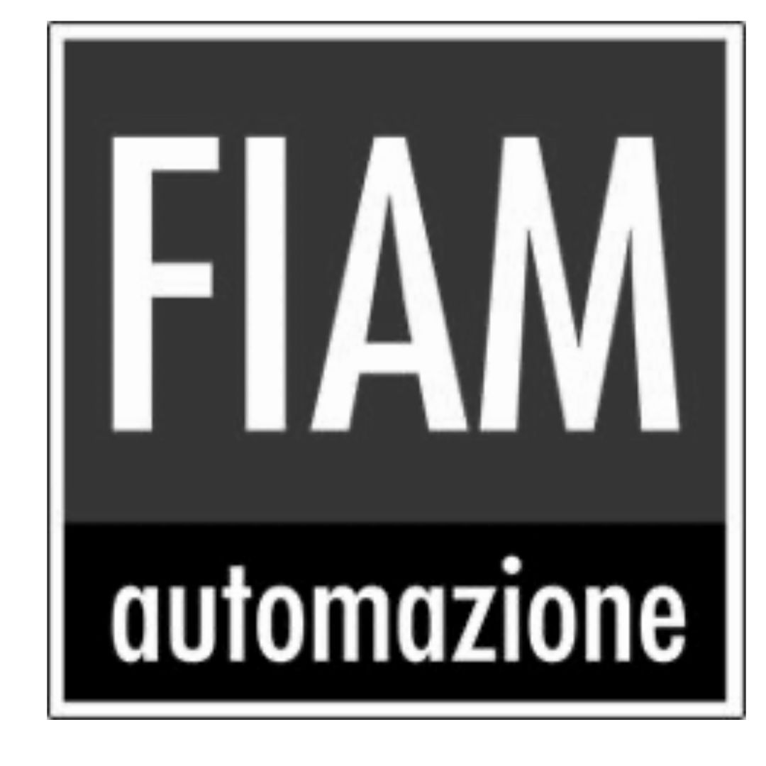 Fiam Automazione logo gray
